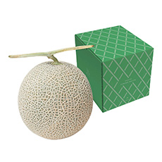 北海道富良野産 メロン