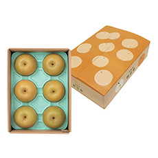 鳥取県産 新甘泉（梨）