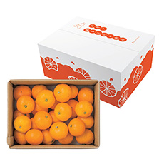 高知県産 四万十 あま～いみかん