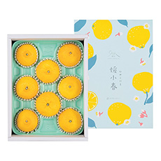 愛媛県産 媛小春