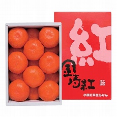 香川小原紅早生みかん（露地）