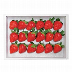 五色青果 香川県産 さぬきひめ